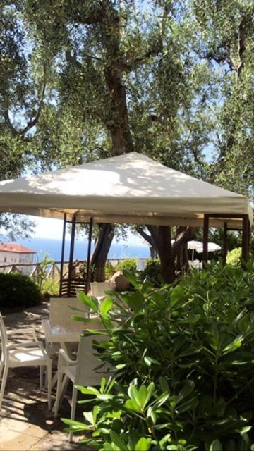 Hotel Villa Pina Antico Francischiello ماسّا لوبْرينسِ المظهر الخارجي الصورة