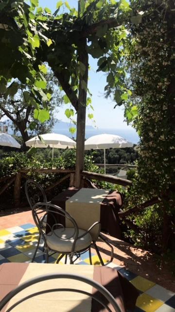 Hotel Villa Pina Antico Francischiello ماسّا لوبْرينسِ المظهر الخارجي الصورة